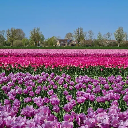 Chalé 525 Op Recreatiepark De Wielen *