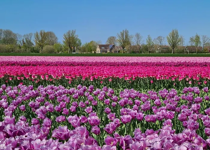 샬레 525 Op Recreatiepark De Wielen *